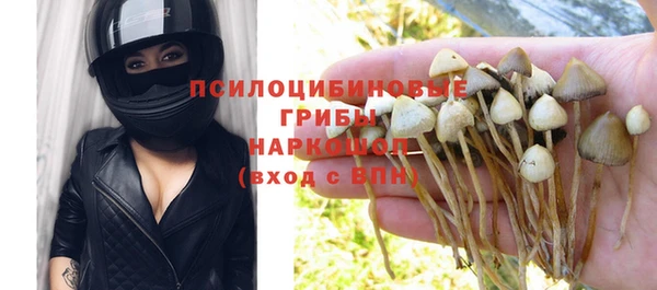 мдма Корсаков