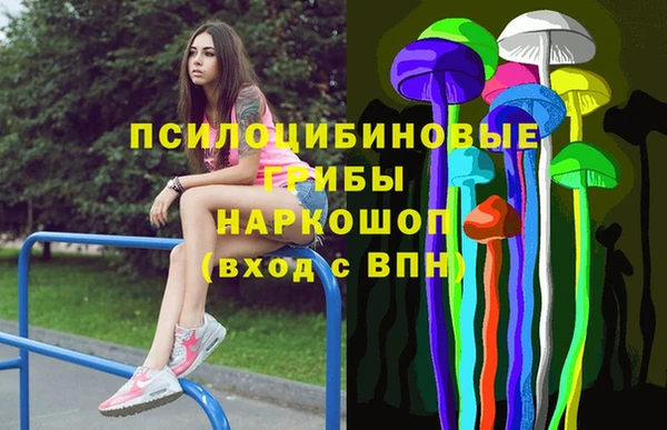 мяу мяу мука Коряжма
