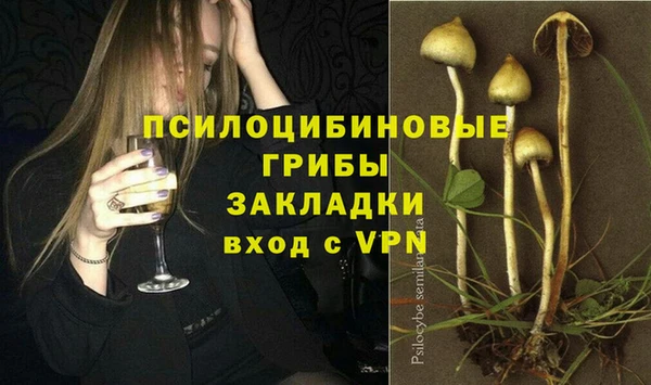 мяу мяу мука Коряжма