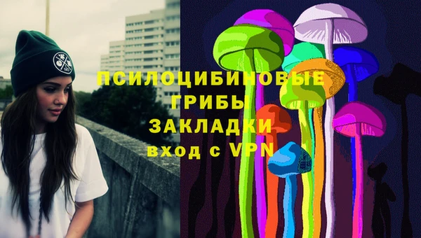 мяу мяу мука Коряжма