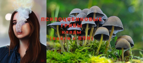 мдма Корсаков