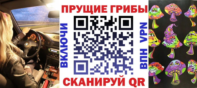 Купить где  Обь  Псилоцибиновые грибы GOLDEN TEACHER 